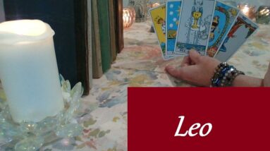 Leo ❤️💋💔 OOPS! They Accidentally Fell In Love With You Leo LOVE LUST LOSS Now-May 2nd #Leo #Tarot 20 Leo ❤️💋💔 OOPS! They Accidentally Fell In Love With You Leo LOVE LUST LOSS Now-May 2nd #Leo #Tarot