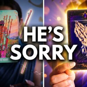 FLASH NEWS🚨! Your TWIN FLAME Needs Your FORGIVENESS Now! Daily Tarot Reading