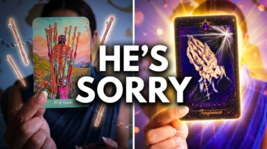 FLASH NEWS🚨! Your TWIN FLAME Needs Your FORGIVENESS Now! Daily Tarot Reading 16 FLASH NEWS🚨! Your TWIN FLAME Needs Your FORGIVENESS Now! Daily Tarot Reading