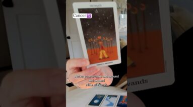 CANCER : This Is WORTH IT But Not Easy To Do | Mid April 2026 Zodiac Tarot Reading #shorts #tarot 2 CANCER : This Is WORTH IT But Not Easy To Do | Mid April 2026 Zodiac Tarot Reading #shorts #tarot