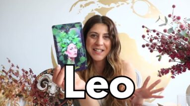 Leo Love ❤️ May 2026 Tarot Reading