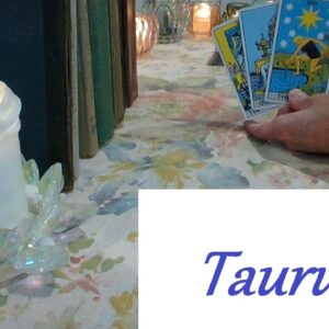 Taurus MidApril 2026 ❤💲 DO NOT WORRY! The Words They Speak Will Mean Everything To You LOVE & CAREER