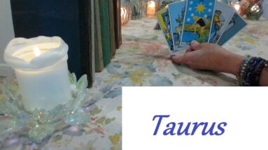 Taurus MidApril 2026 ❤💲 DO NOT WORRY! The Words They Speak Will Mean Everything To You LOVE & CAREER