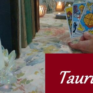 Taurus ❤️💋💔 WORDS ARE SPELLS! The ONE Who Always Comes Back LOVE LUST LOSS Now-May 2nd #taurus