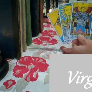 Virgo ❤ WILD ATTRACTION! The Crows Went Insane During This Reading Virgo HIDDEN TRUTH Now-May 23rd