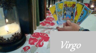 Virgo ❤ WILD ATTRACTION! The Crows Went Insane During This Reading Virgo HIDDEN TRUTH Now-May 23rd