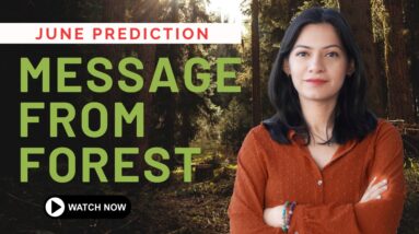 JUNE’S MOST POWERFUL MESSAGE FOR YOUR DOB 🌲✨The Forest Chose A Message For Your Soul This June 🍃