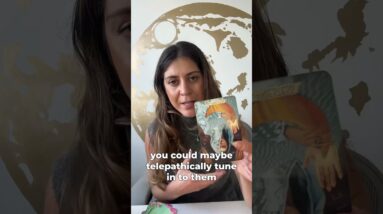 🚫📛Why they blocked you ? #shortstarotreading  Tarot Reading By The illest illuminator