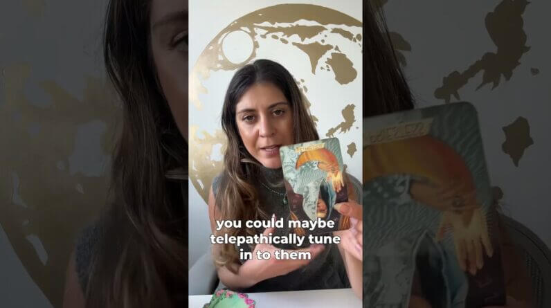 🚫📛Why they blocked you ? #shortstarotreading  Tarot Reading By The illest illuminator