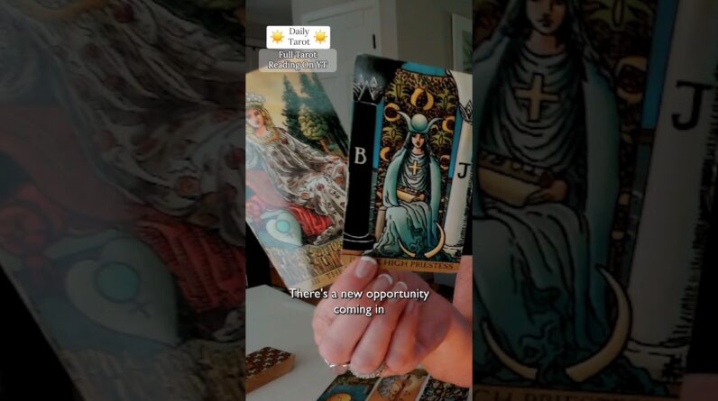 Daily Tarot for the Collective : New Identity OPENING UP For You #shorts #tarot 1 Daily Tarot for the Collective : New Identity OPENING UP For You #shorts #tarot