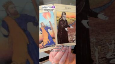AQUARIUS Mid August 2026 : This Reading Is For You If You Don't Know What To Do NEXT #shorts #tarot 40 AQUARIUS Mid August 2026 : This Reading Is For You If You Don't Know What To Do NEXT #shorts #tarot