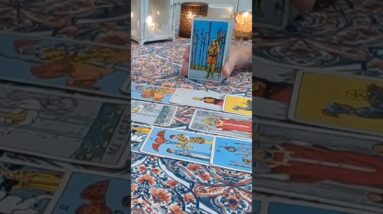 Pisces ♥️  They've Got To Go Big Or They Can Go Home #Pisces #tarot