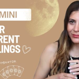 GEMINI ❤️ Their Current Feelings.... They Can’t Keep These Feelings Hidden! 🌊  August 2026 Tarot