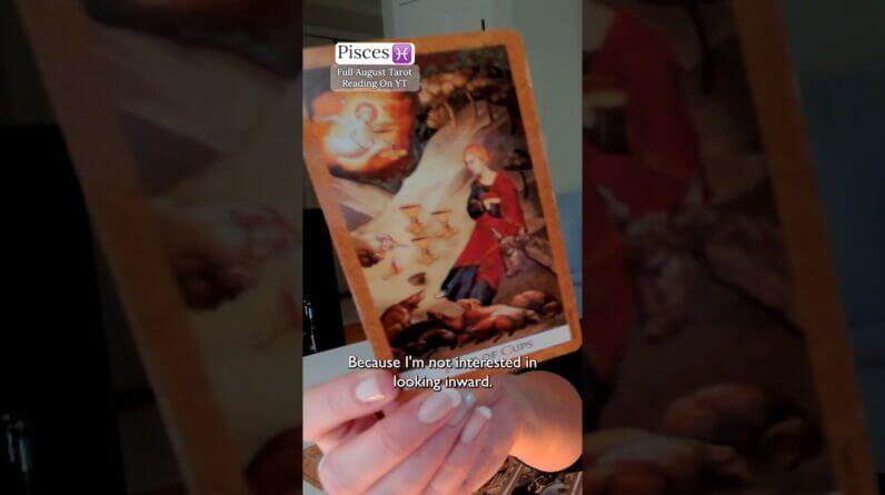PISCES August 2026 : You've Got What It Takes, Pisces #shorts #tarot 1 PISCES August 2026 : You've Got What It Takes, Pisces #shorts #tarot