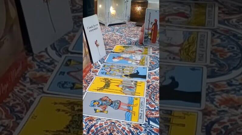 Capricorn ♥️ They Look For You Everywhere #Capricorn #tarot