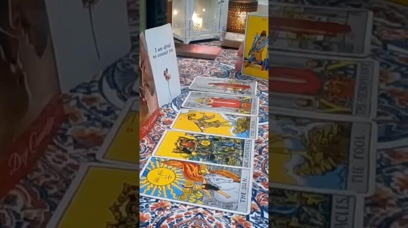 Pisces ♥️ They Are Processing How They Feel #Pisces #tarot