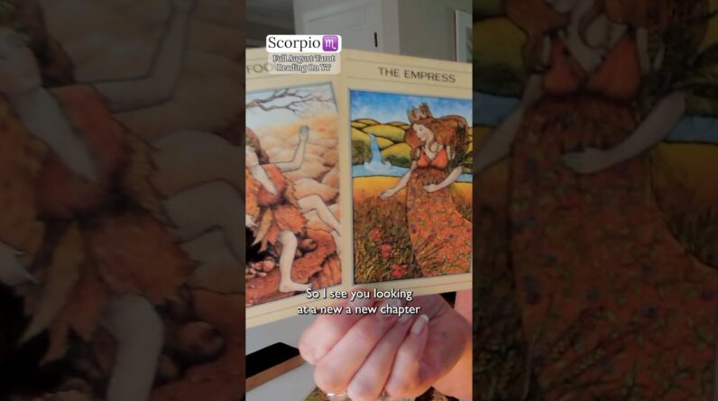 SCORPIO Mid August 2026 : Things Are About To Get A LOT MORE INTERESTING #shorts #tarot