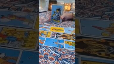 Virgo ♥️ They Can't Stop Watching You #Virgo #tarot 40 Virgo ♥️ They Can't Stop Watching You #Virgo #tarot
