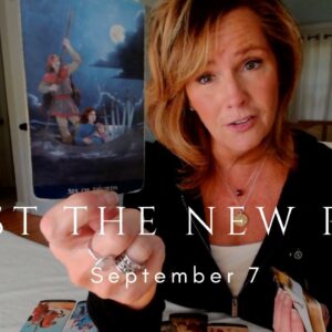 Daily Tarot for the Collective : Trust The New Path