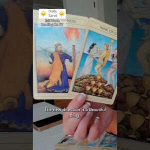 Daily Tarot for the Collective : We've Crossed The Rubicon #shorts #tarot