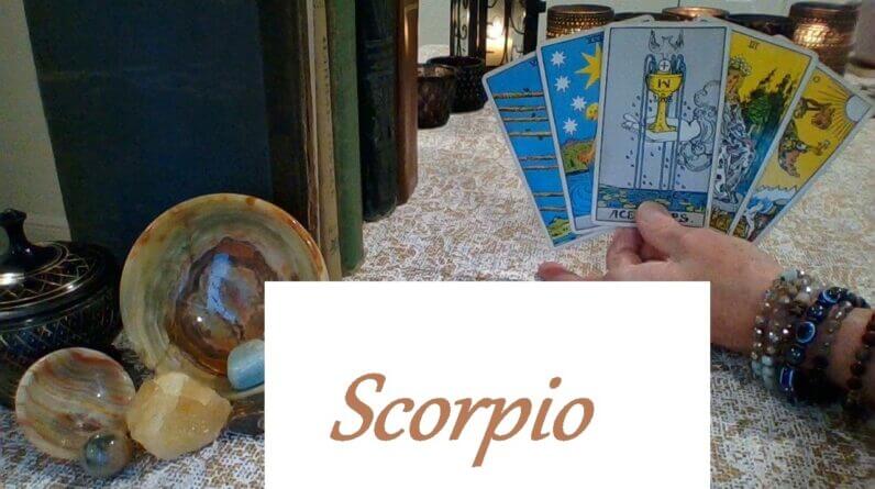 Scorpio ❤ A BIG RISK! When They Fall In Love, They Fall Hard Scorpio HIDDEN TRUTH Now-September 26th 1 Scorpio ❤ A BIG RISK! When They Fall In Love, They Fall Hard Scorpio HIDDEN TRUTH Now-September 26th