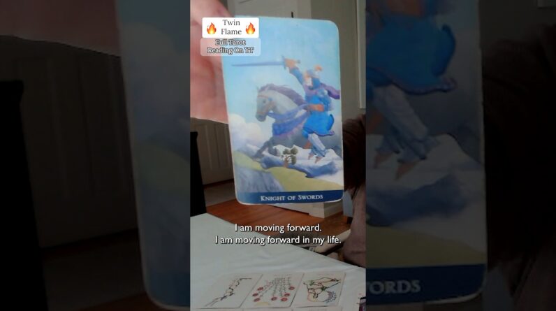 Message For The DM : Express Your Love - This Is The WAY #shorts #tarot #twinflame