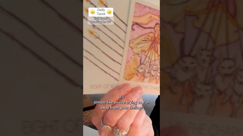 Daily Tarot for the #Collective : Past Life Memories UNLEASHED #shorts #tarot 1 Daily Tarot for the #Collective : Past Life Memories UNLEASHED #shorts #tarot