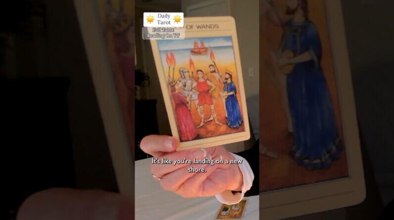 Daily Tarot for the Collective : Expressing Your RAW Truth Brings Massive Transformation #shorts 1 Daily Tarot for the Collective : Expressing Your RAW Truth Brings Massive Transformation #shorts