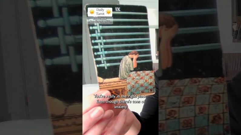 Daily Tarot for the Collective : They're DISARMING But Can You Trust Them #shorts #tarot 1 Daily Tarot for the Collective : They're DISARMING But Can You Trust Them #shorts #tarot