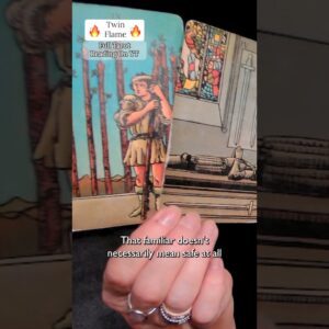 Twin Flame Journey : Seems Pretty Normal To Me.... #shorts #tarot