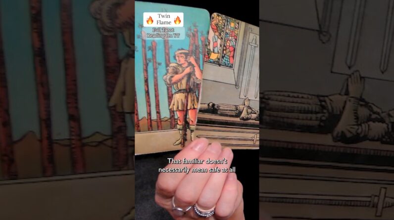 Twin Flame Journey : Seems Pretty Normal To Me.... #shorts #tarot 1 Twin Flame Journey : Seems Pretty Normal To Me.... #shorts #tarot
