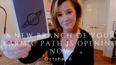 Daily Tarot for the Collective : The Pathway That's Opening You To LOVE 36 Daily Tarot for the Collective : The Pathway That's Opening You To LOVE