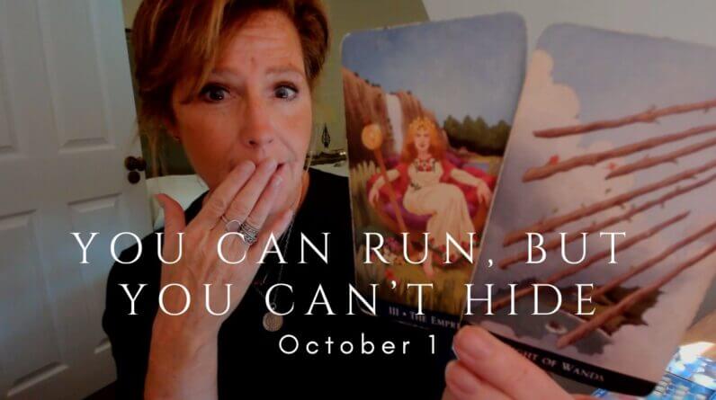 Daily Tarot for the Collective : You Can Run But You Can't Hide 1 Daily Tarot for the Collective : You Can Run But You Can't Hide