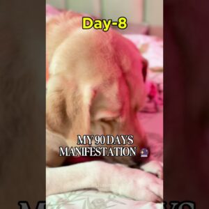 DAY8/90🔮STOP OVERTHINKING!Just Take the NEXT STEP |90 Day Manifestation Challenge #90dayschallenge