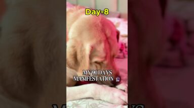 DAY8/90🔮STOP OVERTHINKING!Just Take the NEXT STEP |90 Day Manifestation Challenge #90dayschallenge 18 DAY8/90🔮STOP OVERTHINKING!Just Take the NEXT STEP |90 Day Manifestation Challenge #90dayschallenge