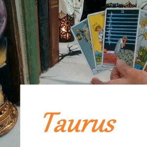 Taurus ❤ NOW OR NEVER! You Have Awakened The Beast Inside Of Them Taurus YOUR SOULMATE October 2026
